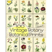 100 Vintage Botany Botanical Prints Volume 2