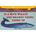 Is a Blue Whale the Biggest Thing There Is?