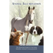 Animal Illumination: The Essential Guide to Learning Intuitive Animal Communication