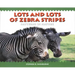 Lots and Lots of Zebra Stripes: Patterns in Nature