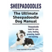 Sheepadoodles. Ultimate Sheepadoodle Dog Manual. Sheepadoodle book for care, costs, feeding, grooming, health and training.
