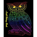 Adult Coloring Books: Gorgeous Cats and Owls