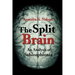 The Split Brain: An Analysis of Schizophrenia