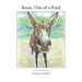 Rosie, One of a Kind: How a Devoted Guard Donkey Becomes Friends with Her Fellow Farm Animals