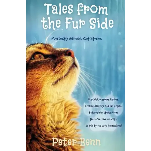 Tales from the Fur Side: Purrfectly Adorable Cat Stories