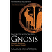 Introduction to Gnosis