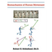 Biomechanics of Human Movement