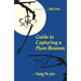 Guide to Capturing a Plum Blossom