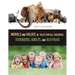Morals and Values of Tales for All Children, Teenagers, Adults, and Old Folks