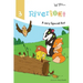 Riverboat - A Very Special Ant