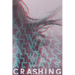 Always Crashing Issue Three