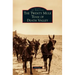 Twenty Mule Team of Death Valley