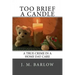 Too Brief A Candle: A True Crime in a Home Day Care