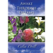 Awake Through Dreams