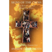 Signs of the Cross: The Search for the Historical Jesus from a Jewish Perspective