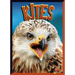 Kites