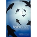 Shark Sense: Getting in Touch with Your Inner Shark