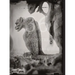 Tomas Van Houtryve: 36 Views of Notre Dame