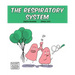 The Respiratory System