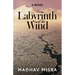 Labyrinth of the Wind: A Novel of Love and Nuclear Secrets in Tehran