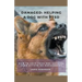 Damaged: Helping A Dog With PTSD