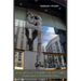 Seas of Glass and Barriers of Substance: A Global Survey of Windows and Portals