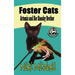 Foster Cats: Artemis and Her Sneaky Brother (A Happy Jack Cats Adventure Book 1) LARGE PRINT: Artemis and Her Sneaky Brother (A Hap