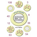 2nd and 3rd Grades Multiplication Tables 1-12 with Exercises