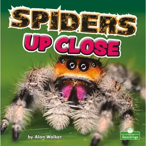 Spiders Up Close