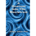 A Descent Into The Maelstrom