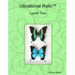 Vibrational Reiki(TM) Level Two Manual