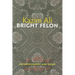 Bright Felon: Autobiography and Cities
