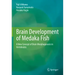 Brain Development of Medaka Fish: A New Concept of Brain Morphogenesis in Vertebrates