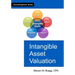 Intangible Asset Valuation