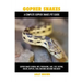 Gopher Snakes: Gopher Snakes General Info, Purchasing, Care, Cost, Keeping, Health, Supplies, Food, Breeding and More Included! A Com