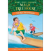 High Tide in Hawaii