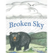Broken Sky