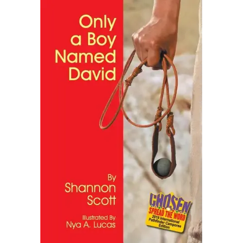 Only a Boy Named David