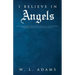 I Believe in Angels: The Miraculous True-Life Story of Catastrophic Vehicle Collision Survivor Ashley
