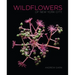 Wildflowers of New York City
