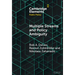 Multiple Streams and Policy Ambiguity
