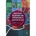 Public Policy, Philanthropy and Peacebuilding in Northern Ireland
