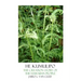 He Kumulipo: The Creation Story Of The Hawaiian People