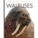 Walruses