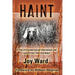 Haint: A Tale of Extraterrestrial Intervention and Love Across Time and Space