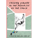 Country Jumper in the Republic of the Congo: History Books for Kids Series