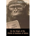 On the Origin of the Clichés and Evolution of Idioms
