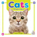Cats: The Sound of Short a