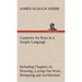 Carpentry for Boys In a Simple Language, Including Chapters on Drawing, Laying Out Work, Designing and Architecture With 250 Original Illustrations