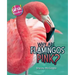 Why Are Flamingos Pink?